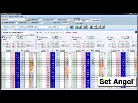 bet angel academy|Betfair trading courses .